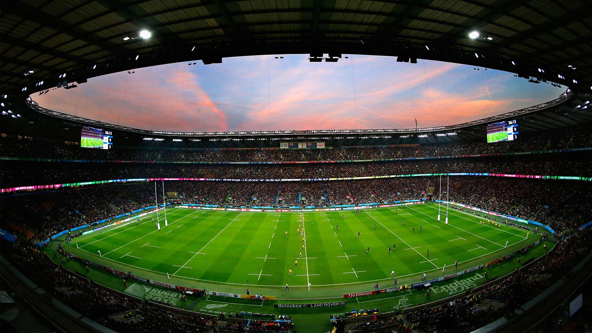 迷喜欢鲜艳 迷喜欢鲜艳